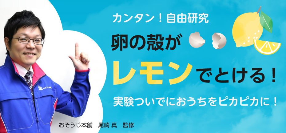 簡単！夏休みの自由研究にぴったり！「卵の殻がレモンでとける！？ 」～実験ついでにおうちをピカピカに！～